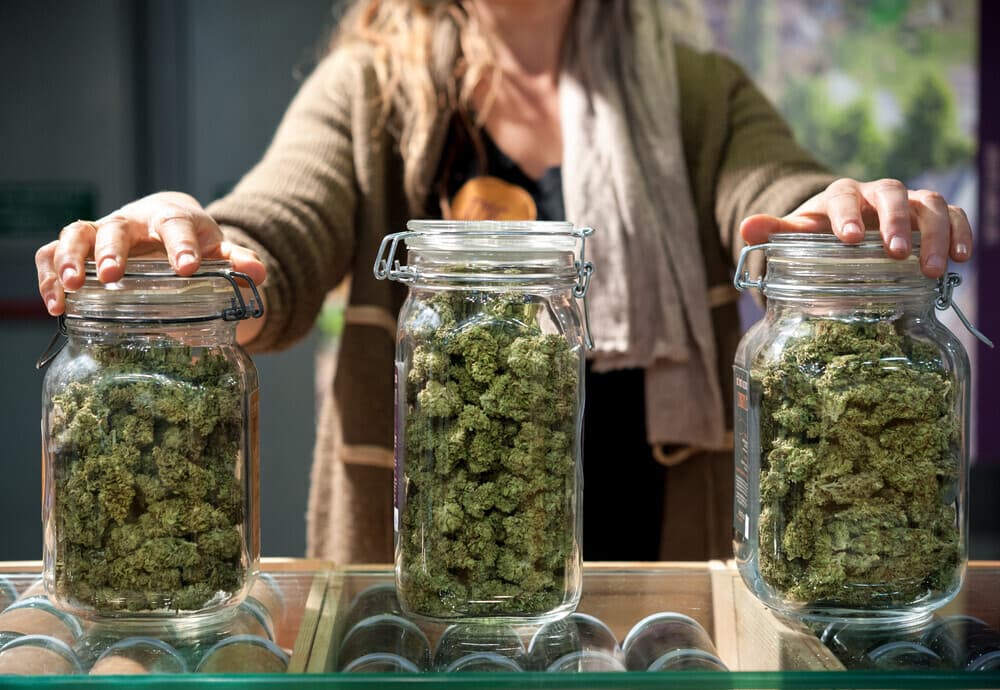 Cannabis und Kultur: Wie Barcelona zum neuen Hotspot wurde