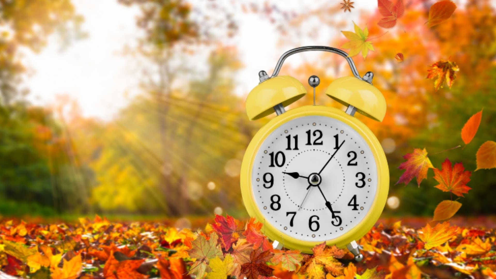 daylight savings time