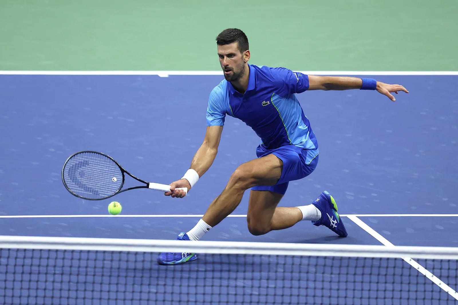 novak