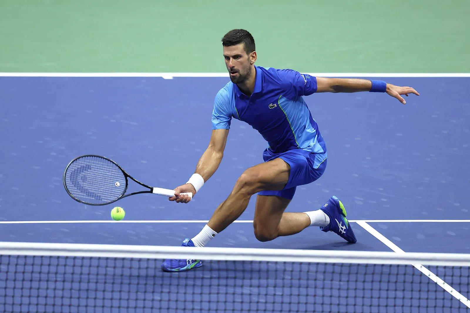 novak
